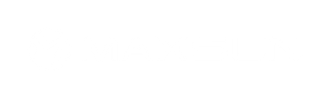 Logo MAXSUN