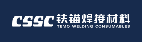 TEMO-Logo