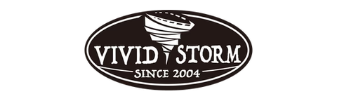 Logo de VIVIDSTORM