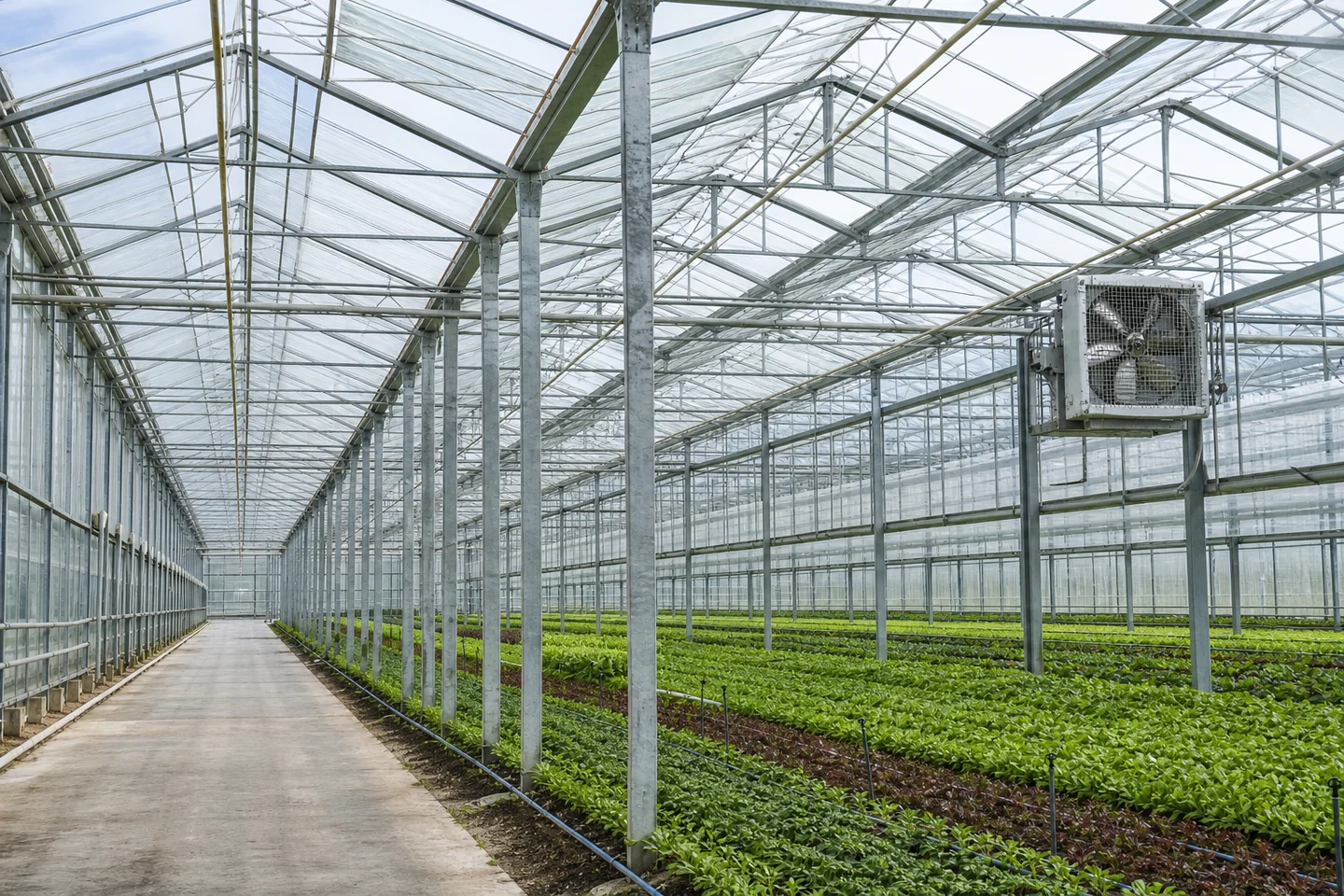 Greenhouse Structures 产品品类示意图